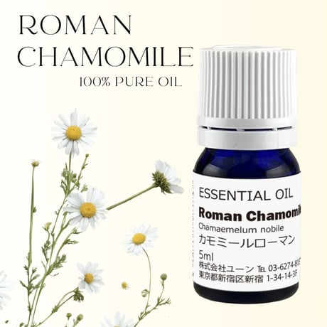 CATEGORY カ行 | shopyuwn