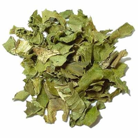 明日葉茶