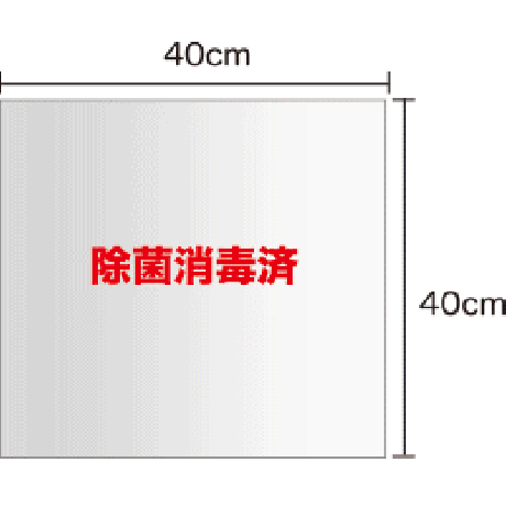 除菌消毒済袋　特大サイズ　100枚入　透明タイプ
