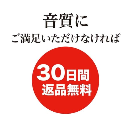 GTM-200set マイマイクPro 充電器セット(マイマイクプロ) ゴールド／ブルー／レッド●カラオケボックス専用