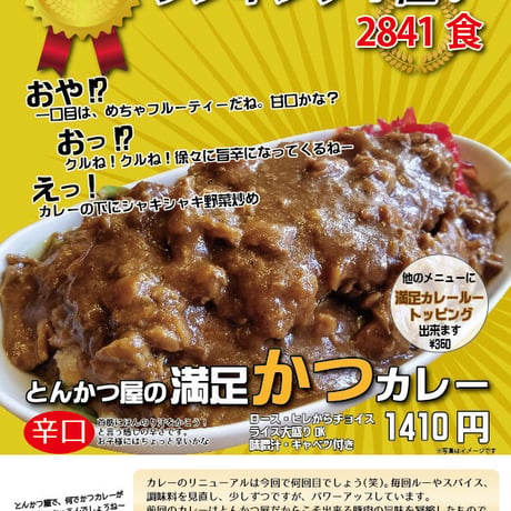 ほんのり首筋から汗をかく爽やかさ「ヒレかつ２枚 満足かつカレールー２食分」 （とんかつ約300g カレー約600g）
