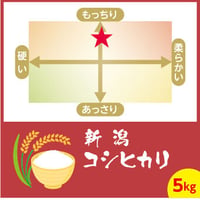 新潟 コシヒカリ　5kg