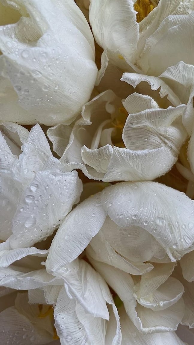 LOVAN sophisticate flower cami onepiece