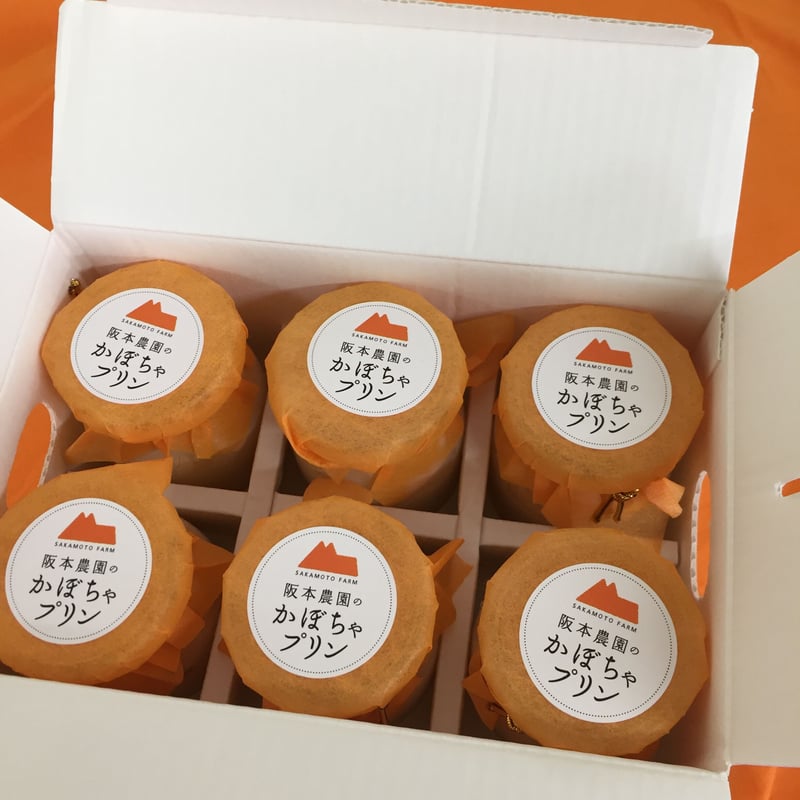 濃厚かぼちゃプリンギフトセット 80g6個セット 冷凍配送 | 阪本農園