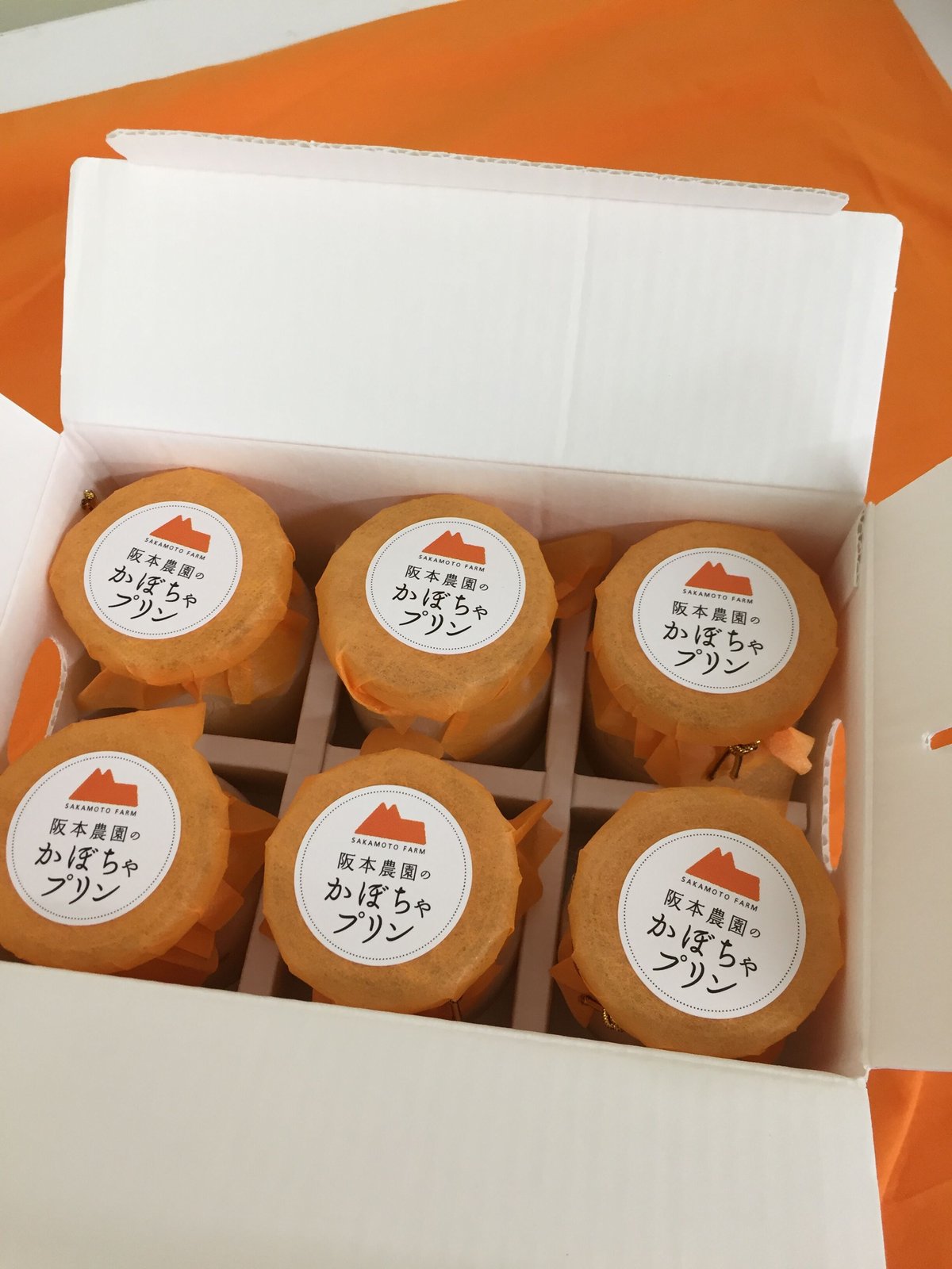 濃厚かぼちゃプリンギフトセット 80g6個セット 冷凍配送 | 阪本農園