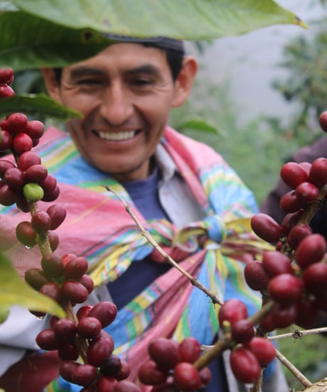 【NEW】Juan Jose Huillca Singuna - Bourbon