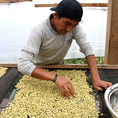 🇵🇪Juan Jose Huillca Singuna - Sidra