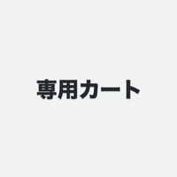 いずっち様　65-1914、65-1915、65-1916 オールオレンジ