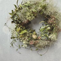 スモークツリーのwreathe(送料込み)