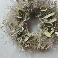 スモークツリーのwreathe(送料込み)