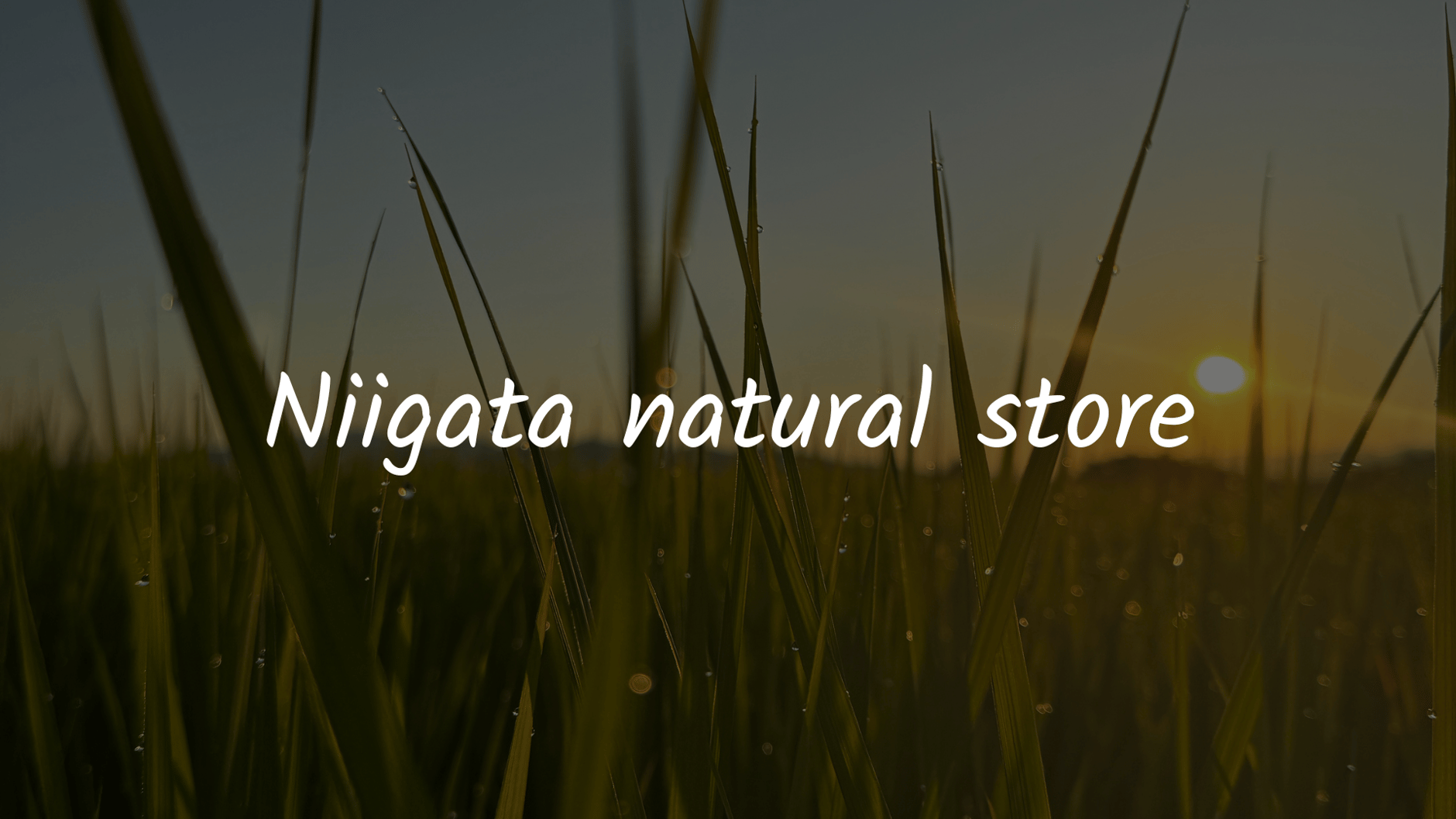 Niigata natural store