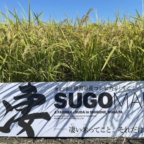 5kg×６回定期便！【年間50俵限定！】幻の従来品種 雪室貯蔵 新潟産コシヒカリ 凄米～すごまい～ ５kgが毎月届く！