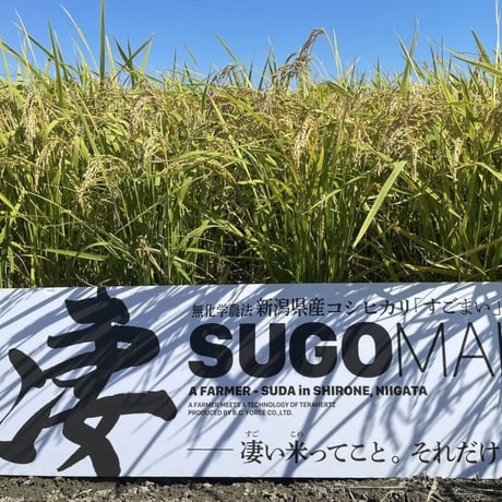 ‐法人様用 限定まとめ買いプラン‐　【年間50俵限定！】幻の従来品種 雪室貯蔵 新潟産コシヒカリ 凄米～すごまい～ 5kg