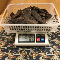 馬アキレス ロング 500g | 株式会社犬のおやつ専科
