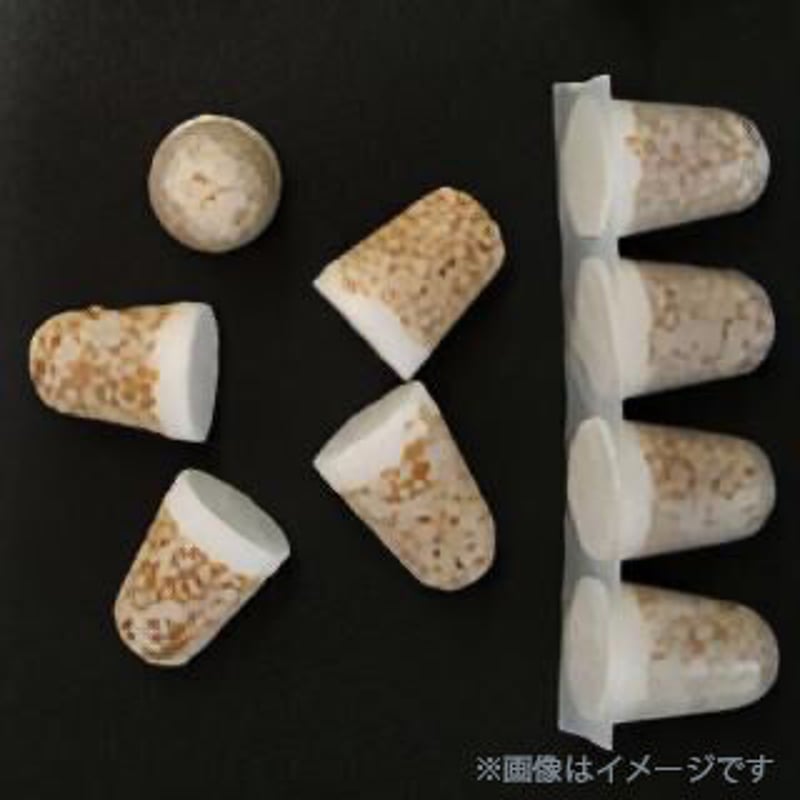 きのこ fit=scale-down,w=1200