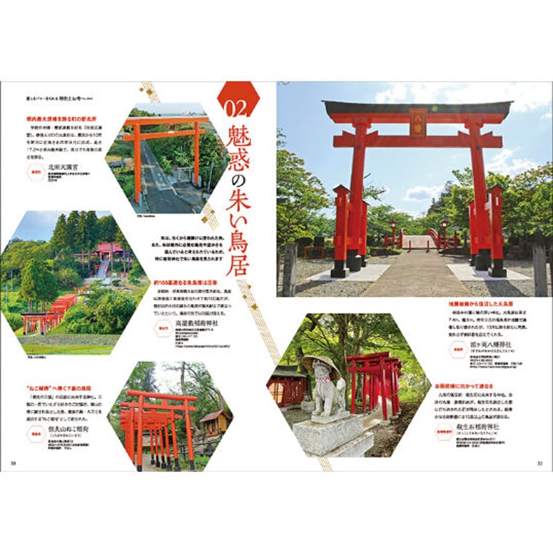 夢見森 猫地区の御神木　MAYZON 夢見森 猫地区の御神木 MAYZON Amazon.co.jp: 夢見森 猫地区の