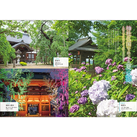 CJ Monmo　2026年7月号(6/25発行)