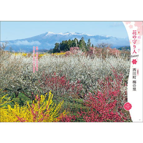CJ Monmo　2026年3月号(2/25発行)
