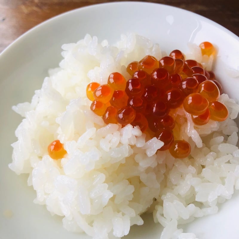 農園直送！令和7年度 会津産｜ 『アイガモ栽培米』 コシヒカリ＜白米