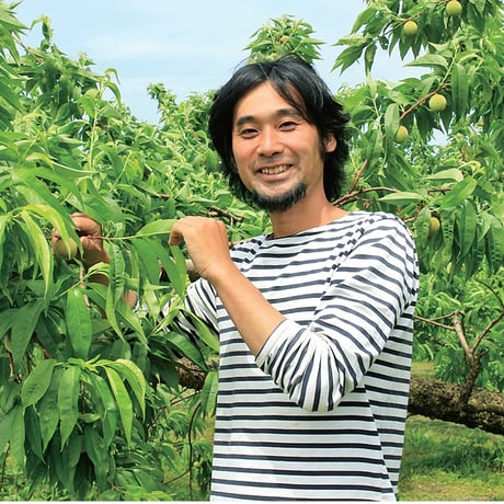 ＜6/20～受付開始＞『伊達水蜜園』品種おまかせ旬の桃1.5kg（数量限定）【伊達水蜜園　伊達市】