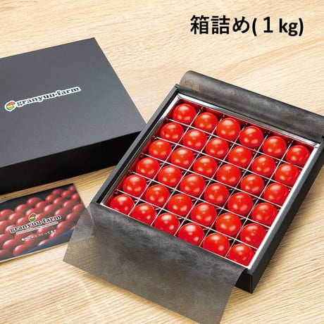 ＜順次発送中！＞糖度が高く濃厚なうまみ｜フルーツトマト（フルティカ）箱詰めギフト【granyuu-farm（グラニューファーム）　福島市】