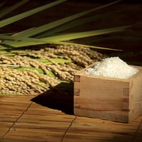 新米 農園直送！令和８年度産米 須賀川市産｜太地米完熟® コシヒカリ＜白米・玄米＞【薄井農園　須賀川市】