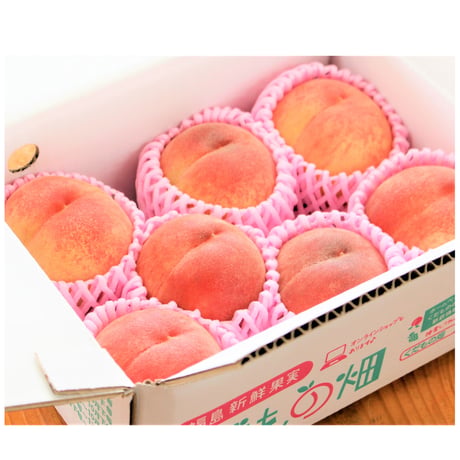 ＜注文は８月末まで＞福島市の桃 品種おまかせ1.5kg【くだもの畑　福島市】