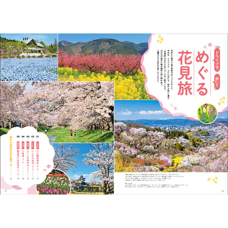CJ Monmo　2025年4月号(3/25発行)
