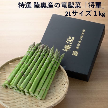 期日指定配達OK！極太アスパラガス｜陸奥(みちのく)産の竜髭菜(アスパラガス)「将軍」1kg【Good field farm(グッドフィールドファーム) 福島市】