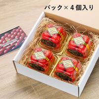 ＜順次発送中！＞糖度が高く濃厚なうまみ｜フルーツトマト（フルティカ）パック詰めギフト【granyuu-farm（グラニューファーム）　福島市】