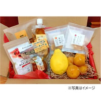＜数量限定・予約受付中＞季節のフルーツとあんず加工品をお届け｜「あくあシロップ」ギフト６月【アクア農園　福島市】