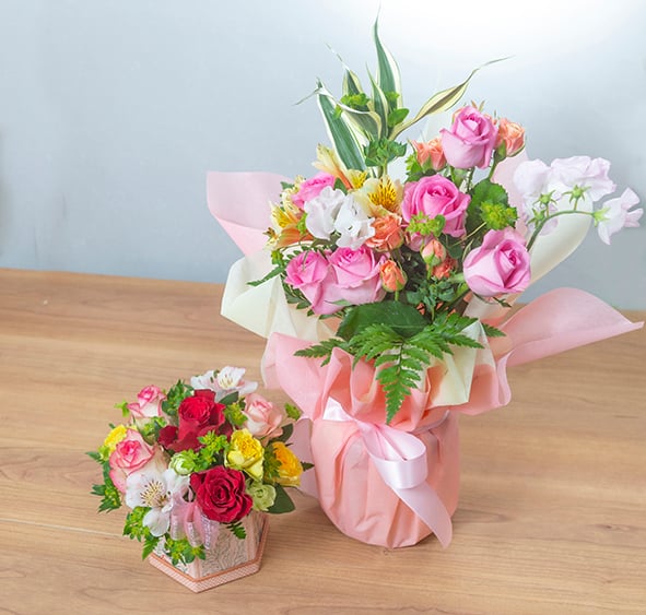 fit=scale-down,w=1200