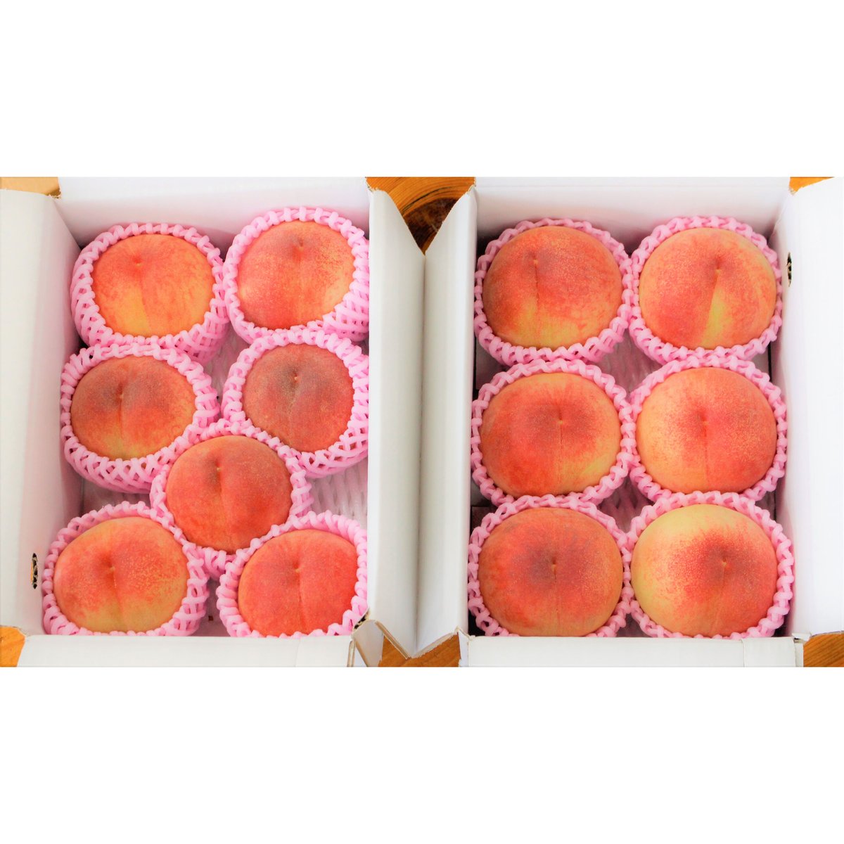 予約受付中＞福島市の桃 品種おまかせ1.5kg【くだもの畑 福島市