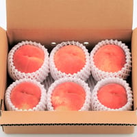 ＜6/20～受付開始＞『伊達水蜜園』品種おまかせ旬の桃1.5kg（数量限定）【伊達水蜜園　伊達市】
