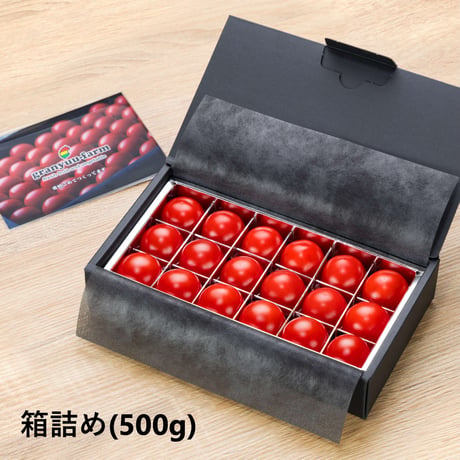 ＜順次発送中！＞糖度が高く濃厚なうまみ｜フルーツトマト（フルティカ）箱詰めギフト【granyuu-farm（グラニューファーム）　福島市】
