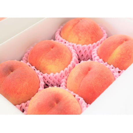 ＜注文は８月末まで＞福島市の桃 品種おまかせ1.5kg【くだもの畑　福島市】