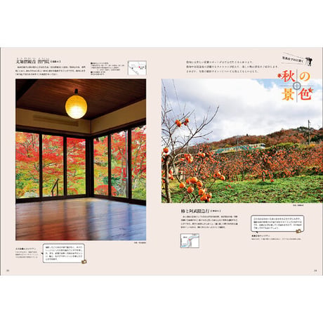CJ Monmo　2023年10月号(9/25発行)
