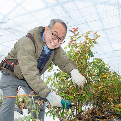 バラ園直送！鮮度長持ち｜バラの花束【にこにこバラ園　須賀川市】