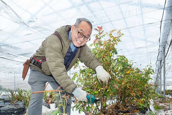 バラ園直送！鮮度長持ち｜そのまま飾れるバラの花束【にこにこバラ園