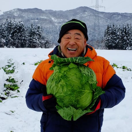 湯煎で簡単調理！｜ソースが選べる 「雪掘ロールキャベツ」２個セット【奥会津河内屋　柳津町】