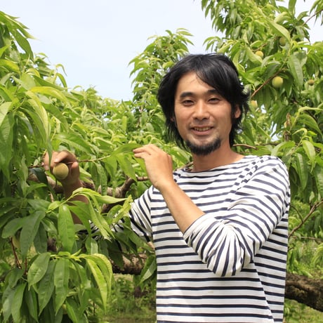 ＜受付終了＞伊達の桃 あかつき２kg（数量限定）【伊達水蜜園　伊達市】