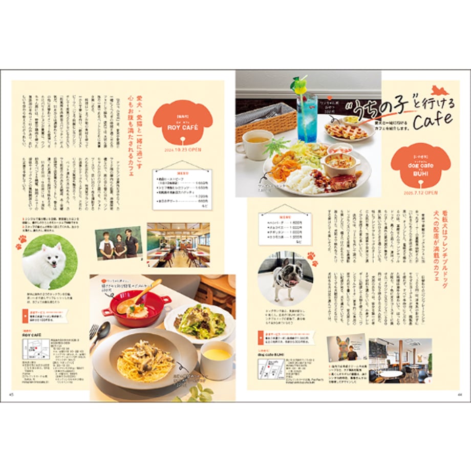 68d536000f090c6db2788c1f