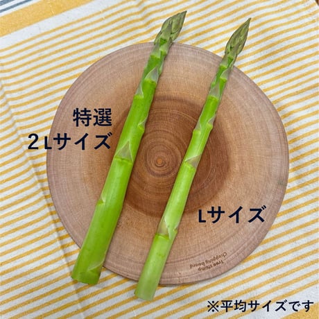 期日指定配達OK！極太アスパラガス｜陸奥(みちのく)産の竜髭菜(アスパラガス)「将軍」1kg【Good field farm(グッドフィールドファーム) 福島市】