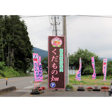 ＜注文は８月末まで＞福島市の桃 品種おまかせ1.5kg【くだもの畑　福島市】