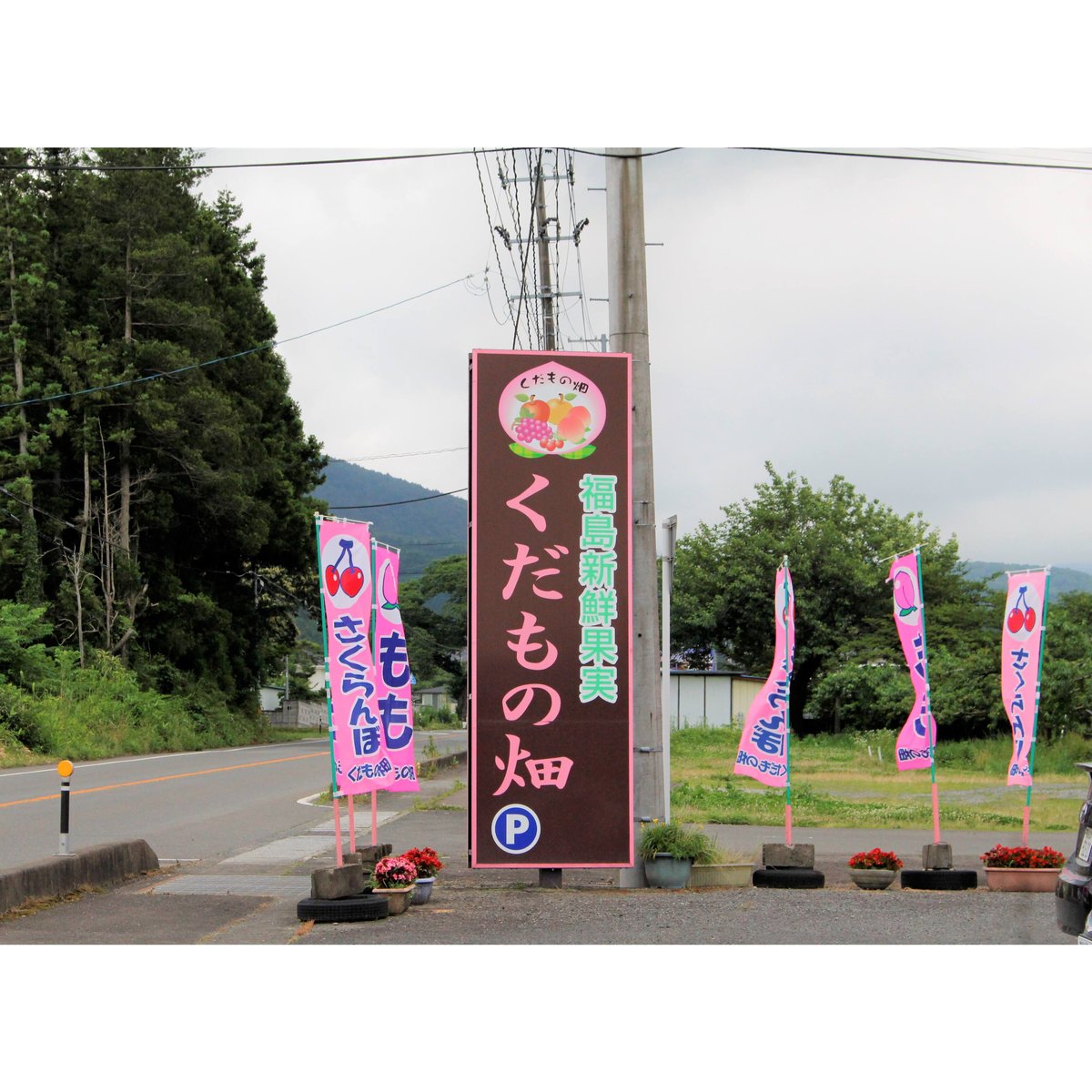 もも (くだものばたけ) fit=scale-down,w=1200