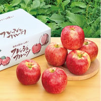 ＜発送は9月上旬～12月下旬＞樹上完熟 「羽山りんご」　【マルハラ果樹園　二本松市】