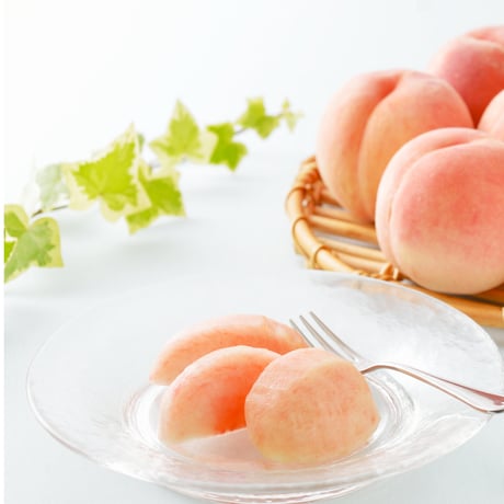 ＜6/20～受付開始＞『伊達水蜜園』品種おまかせ旬の桃1.5kg（数量限定）【伊達水蜜園　伊達市】