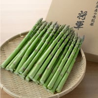 期日指定配達OK！極太アスパラガス｜陸奥(みちのく)産の竜髭菜(アスパラガス)「将軍」1kg【Good field farm(グッドフィールドファーム) 福島市】