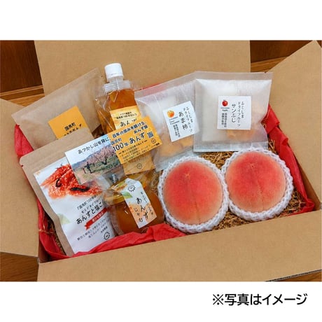 ＜6/20～受付開始＞フレッシュな桃とあんず加工品をお届け｜「あくあシロップ」ギフト７～９月【アクア農園　福島市】