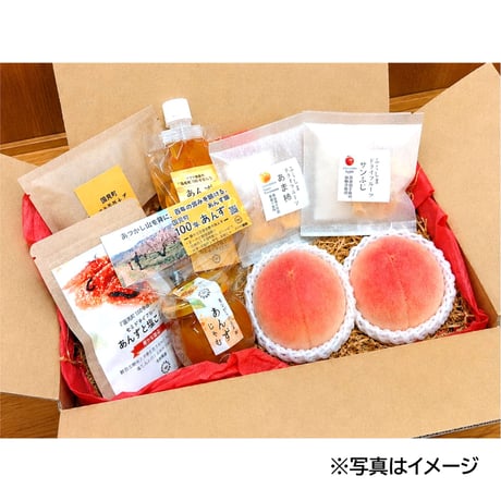 ＜随時発送中＞フレッシュな桃とあんず加工品をお届け｜「あくあシロップ」ギフト７～９月【アクア農園　福島市】